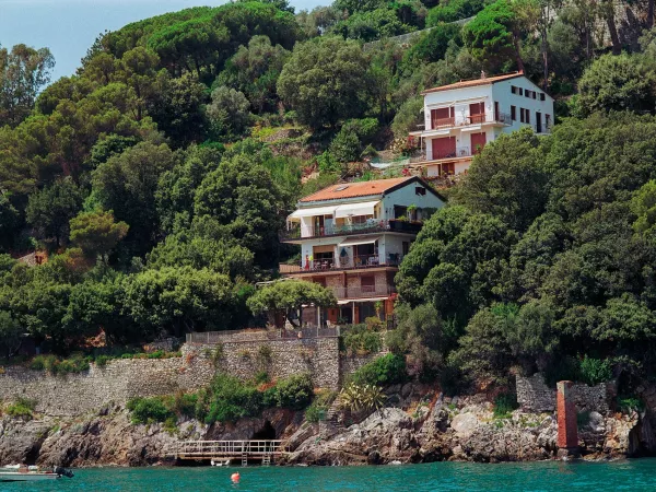 
<span>What is Lorem Ipsum?</span>
